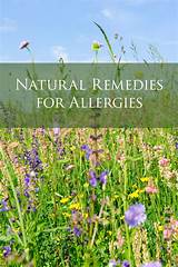 Natural Treatment For Seasonal Allergies Photos