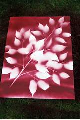 Pictures of Spray Painting Real Flowers