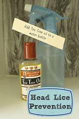 Pictures of Tea Tree Oil Spray For Lice On Furniture