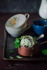 Mint Ice Cream With Chocolate Chips Pictures