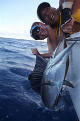 Photos of Turks And Caicos Fishing Season