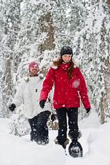 Snowshoe Reservations Pictures