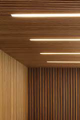 Wood Cladding Ceiling Images