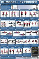Photos of Free Weight Exercises