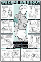 Arm Workouts In The Gym Images
