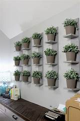 Plants On Wall Shelves