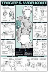 Pictures of Quick Chest And Arm Workouts