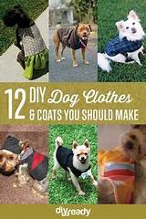 Pictures of Dog Clothes You Can Make