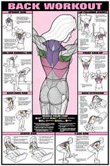 Upper Back Muscle Strengthening Exercises Pictures