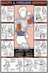 Dumbbell Back Workout Exercises Images