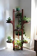 Photos of Corner Plant Shelves