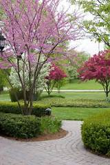 Trees For Backyard Landscaping Pictures