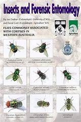 Forensic Science Australia