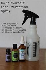 Photos of Tea Tree Oil Spray For Lice On Furniture