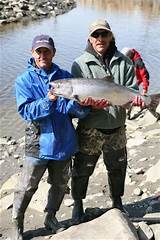 Salmon And Halibut Fishing Alaska Photos