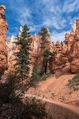 Bryce Canyon National Park Weather Forecast