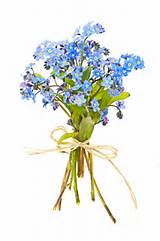 Forget Me Not Flower Pin Images