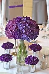 Hydrangea Flowers In Vases
