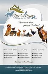 House Sitting Business Cards Images
