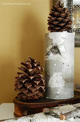 Decorating With Birch