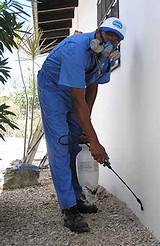 Pest Control Services Vijayawada