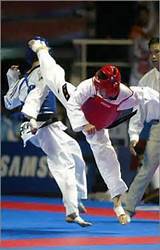 Taekwondo Or Tae Kwon Do