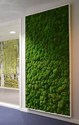 Images of Cheap Green Wallpaper