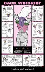 Upper Back Workout Exercises