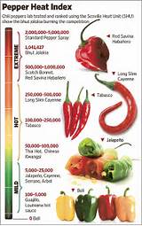 Photos of Chili Pepper Heat Index