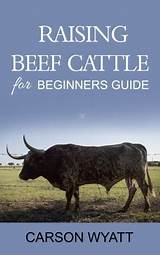 Images of Raising Beef Cattle For Profit