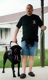 What Can You Ask About A Service Animal Pictures