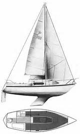 Pandora Sailing Boat