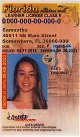 Images of Florida Drivers License Drug And Alcohol Course