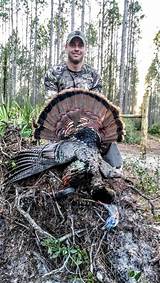 Images of Turkey Hunting Outfitters In Florida