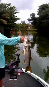 Miami Fishing Charters Prices