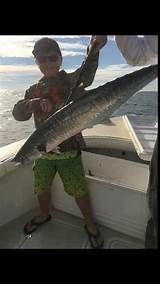 Non Stop Fishing Charters St Pete Beach Fl Pictures