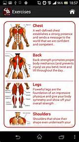 Exercise Program Gain Muscle Mass Images