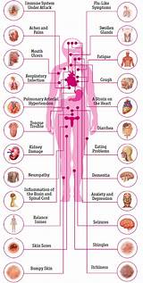 What Body Parts Does Hiv Attack Images