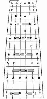 All Guitar Notes For Beginners Pictures