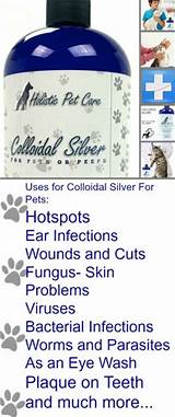 Images of Colloidal Silver For Dog Allergies