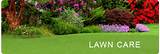 Doctor Green Lawn Care Images