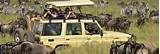 Pictures of Tanzania Safari Packages