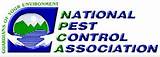 California Pest Control License Images