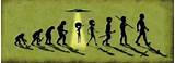Photos of Facts About Darwin Theory Of Evolution