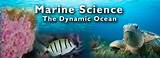 Images of Online Marine Science Degree