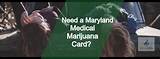 Medical Marijuana Card In Maryland Pictures