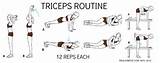Workout Routine Effective Pictures