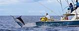 Images of Sea Fishing Charters