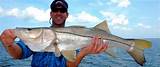 Images of Best Snook Fishing In The World