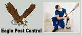 Corpus Christi Pest Control Services